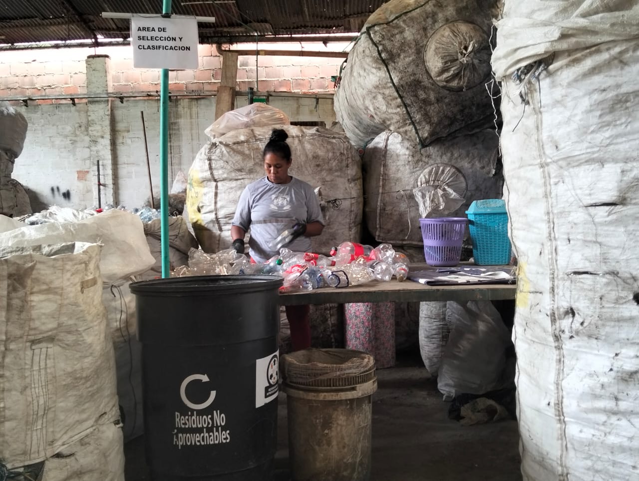Recicladores en labor